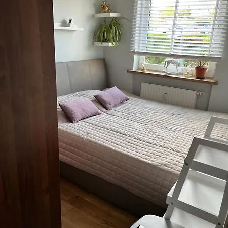Apartament Zakoniczyn * 格但斯克
