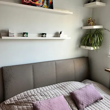 公寓 Apartament Zakoniczyn 格但斯克