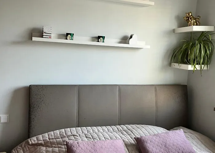 Apartament Zakoniczyn